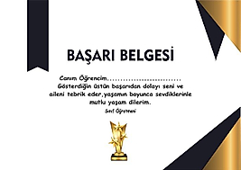 BAŞARI BELGESİ