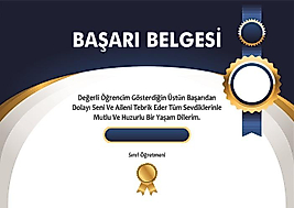 BAŞARI BELGESİ