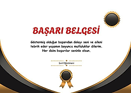 BAŞARI BELGESİ