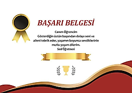 BAŞARI BELGESİ