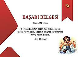 BAŞARI BELGESİ
