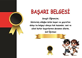 BAŞARI BELGESİ