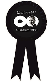 10 KASIM  KOKARTI