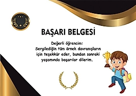 BAŞARI BELGESİ
