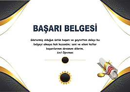 BAŞARI BELGESİ