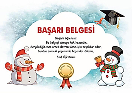 BAŞARI BELGESİ