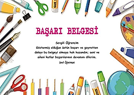 BAŞARI BELGESİ