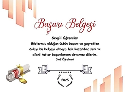 BAŞARI BELGESİ
