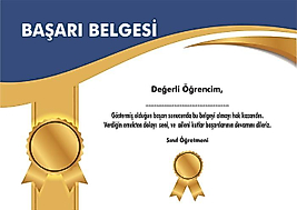 BAŞARI BELGESİ