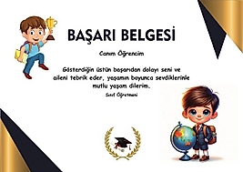 BAŞARI BELGESİ