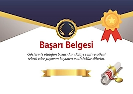 BAŞARI BELGESİ