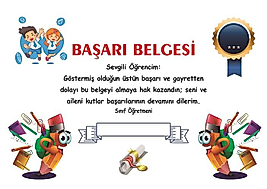 BAŞARI BELGESİ