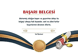 BAŞARI BELGESİ