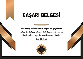 BAŞARI BELGESİ