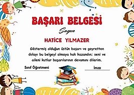 BAŞARI BELGESİ