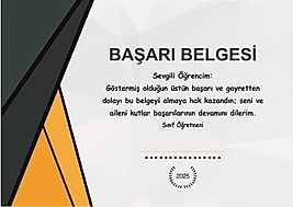 BAŞARI BELGESİ