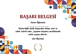 BAŞARI BELGESİ