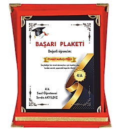 BAŞARI  PLAKETİ