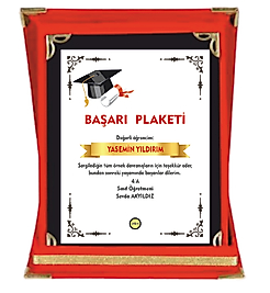 BAŞARI  PLAKETİ