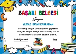 BAŞARI BELGESİ