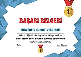 BAŞARI BELGESİ