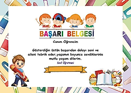 BAŞARI BELGESİ