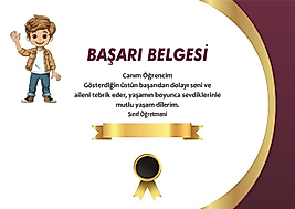 BAŞARI BELGESİ
