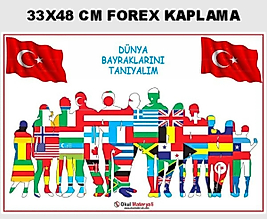 DÜNYA BAYRAKLARINI TANIYALIM
