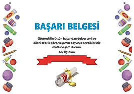 BAŞARI BELGESİ