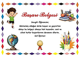 BAŞARI BELGESİ